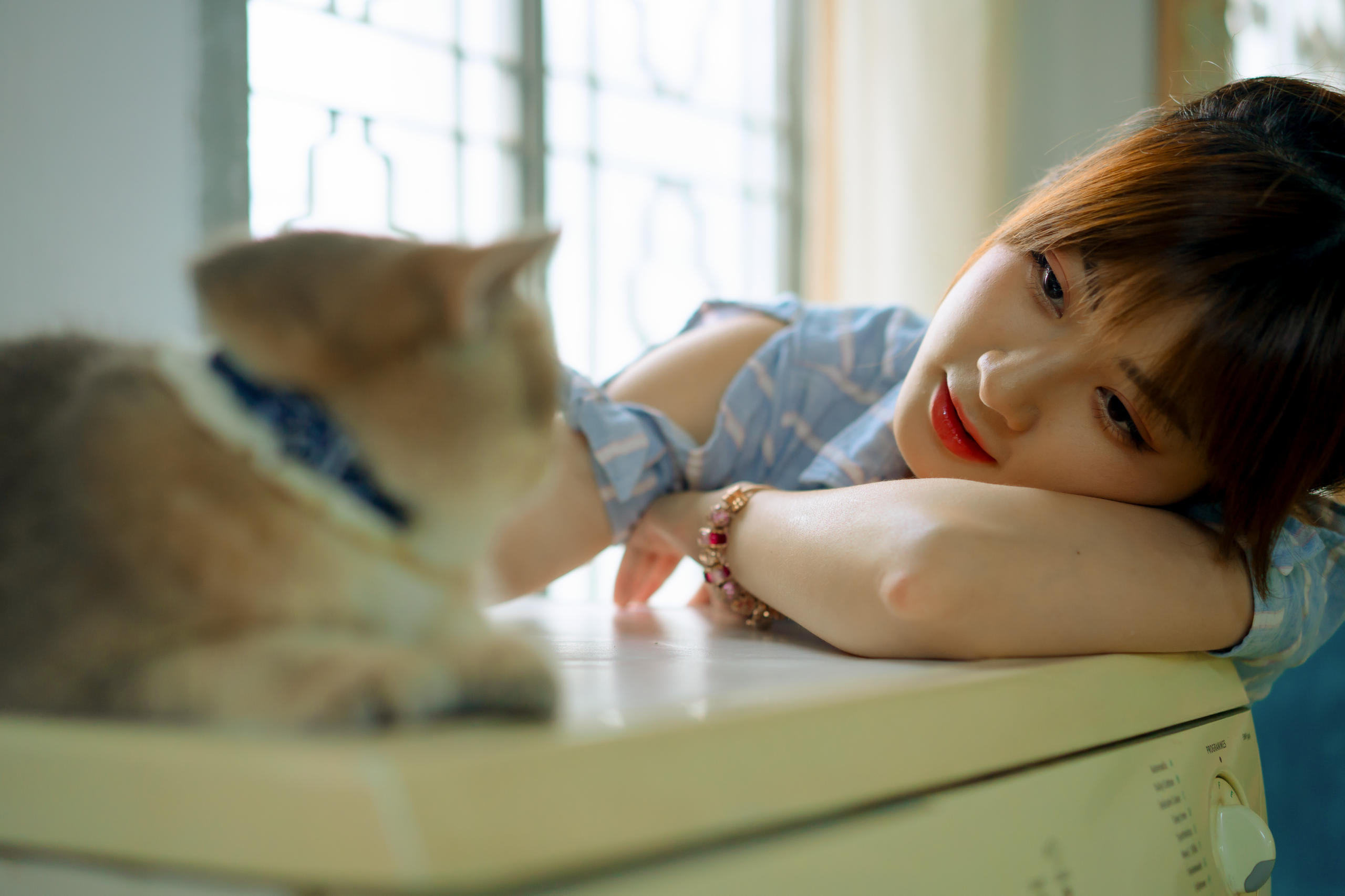 飼い主と触れ合う猫