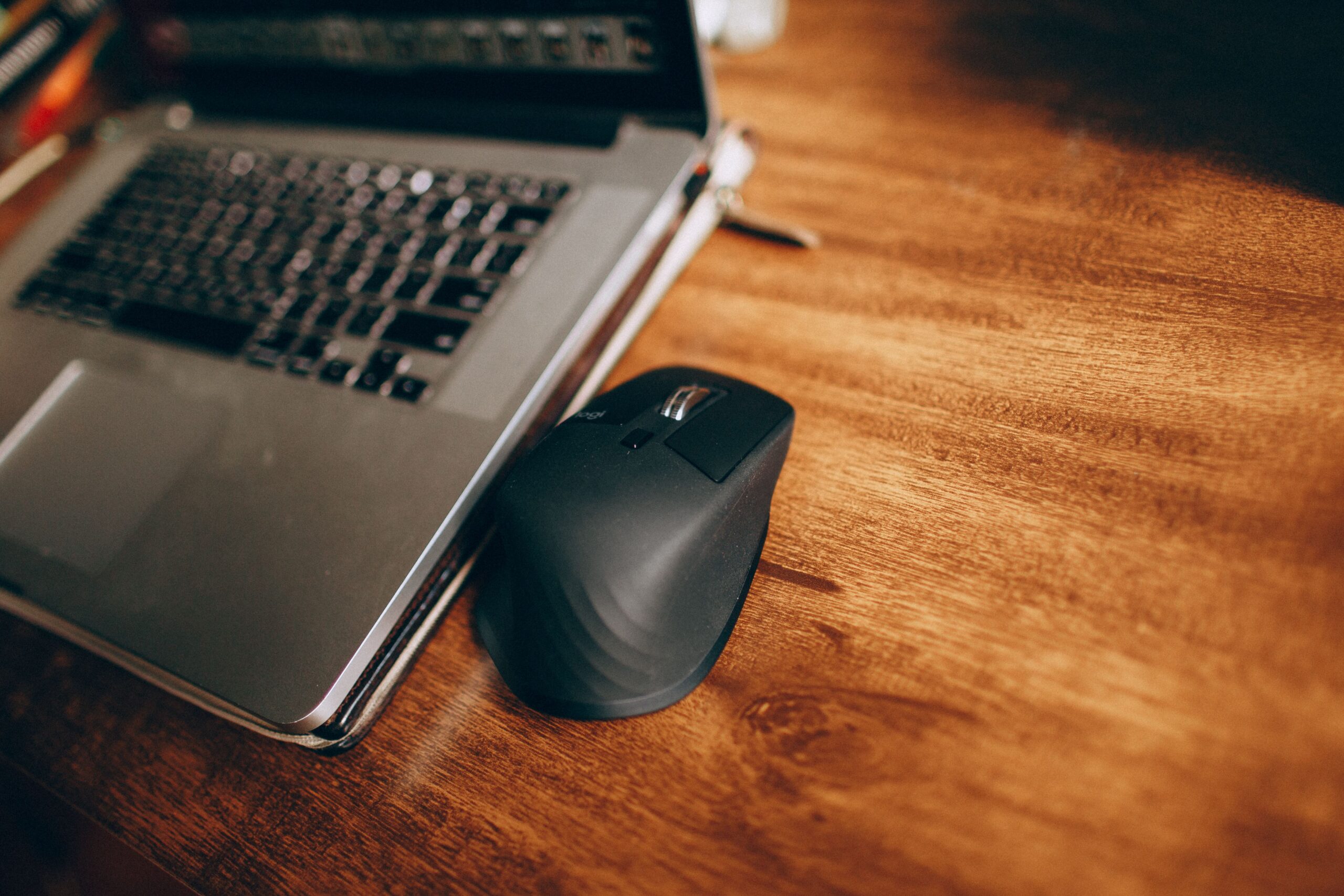 mouse-1.jpg