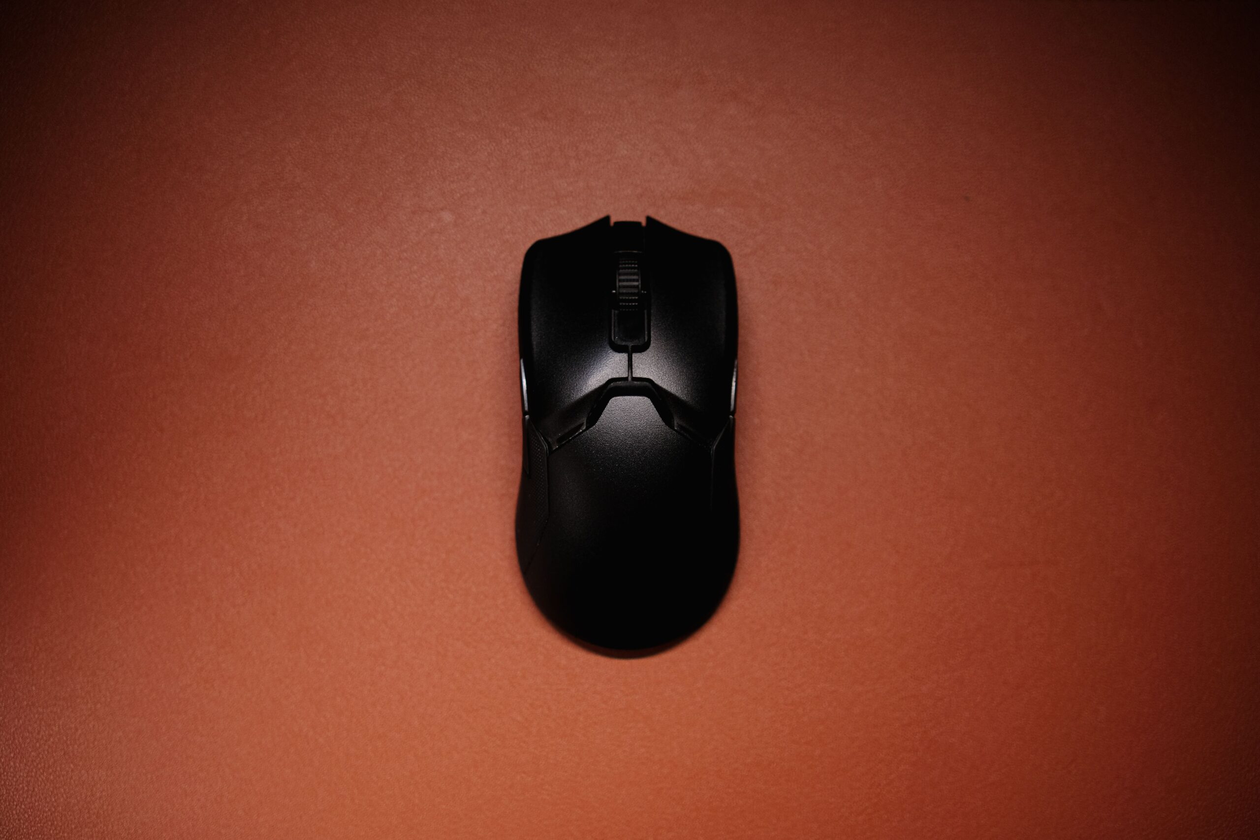 mouse-3.jpg