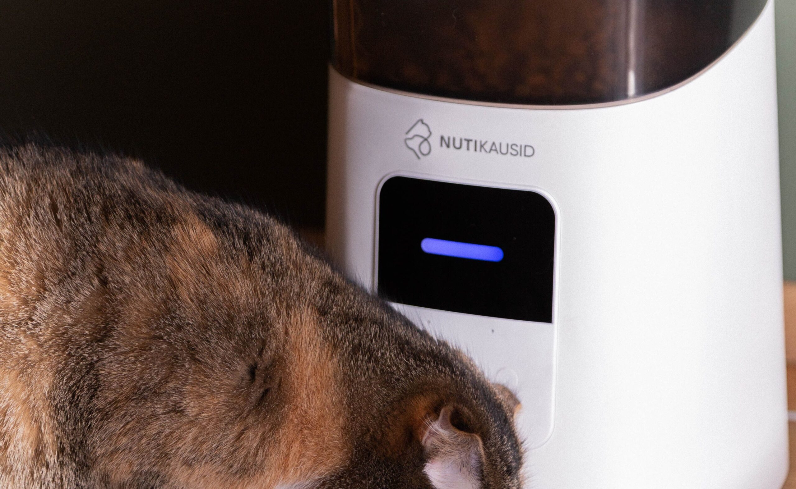 petfeeder-2.jpg