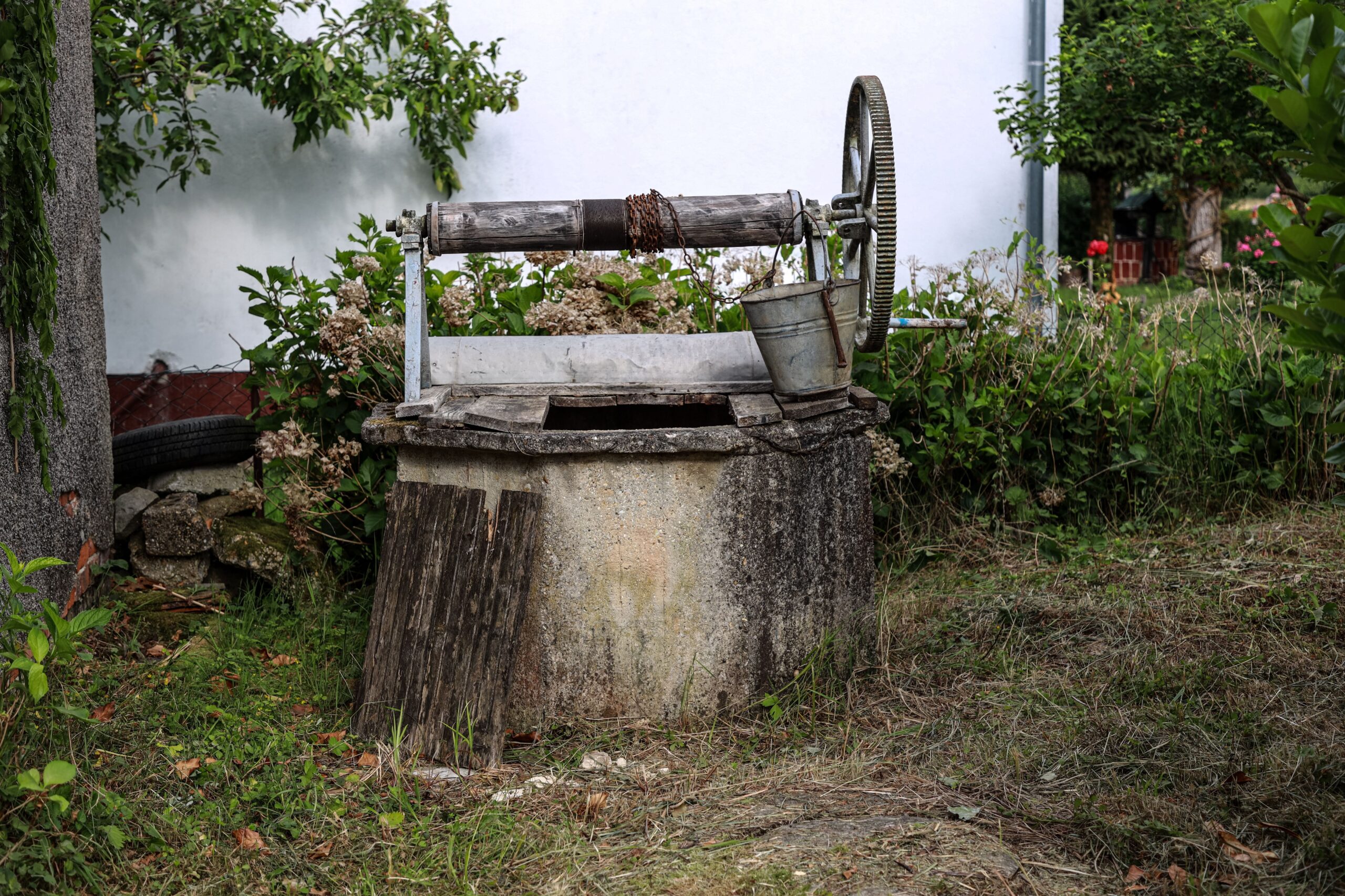petfountain-2.jpg